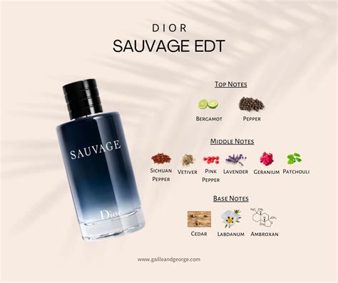 sauvage Dior notas